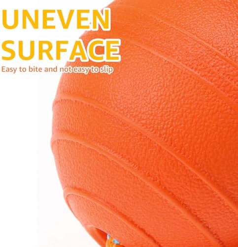 SCENEREAL Floating Dog Pool Toys - Ball on Rope Fetch and Tug-of-War Toy for Medium Large Dogs Outdoor Training, EVA Rubber Water Pet Interactive Toys for Summer Beach, Orange