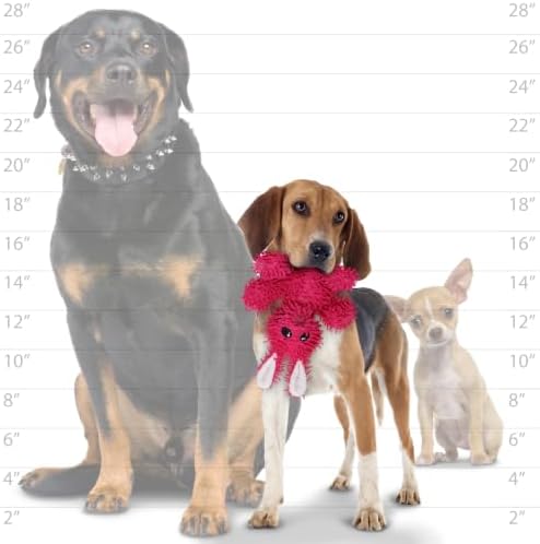 TUFFY® 5 Pack Jr Lobster, Boomerang, Horse, Carrot & Rabbit Dog Toys