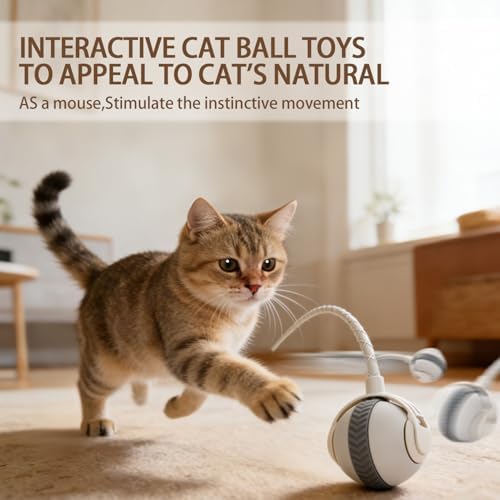 Interactive Cat Toy Ball Indoor Mouse Tail Ball for Cats (White)