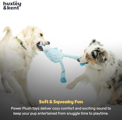 Huxley & Kent Funny Dog Toy w/Squeaker – Power Plush Squeaky Dog Toys for Small, Medium & Large Dogs – Soft Stuffed Animal for Indoor Play & Fetch - Squeak to Crunch - Lankies Luna Unicorn, Large