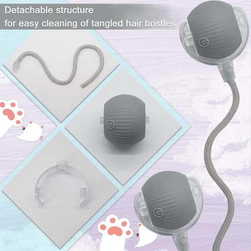 Interactive Cat Dog Toy Ball with LED Light, Automatic Rolling(Grey)
