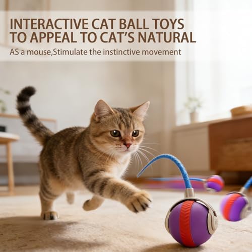 Interactive Cat Toy Ball Indoor Mouse Tail Ball for Cats (Purple)