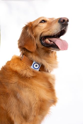 Two Tails Evil Eye Dog Collar Holder Compatible with Apple AirTag