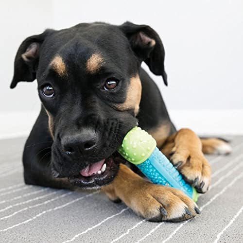 KONG CoreStrength Bone, Multi-Layered Dental Toy, for Medium/Large Dogs