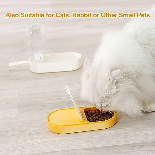 2-in-1 Dog Bowl & Water Bottle, Large Food Container for Dog Treats, Steak, Sticks, Bars - Portable Pet Dispenser for Hiking, Travel (Yellow)