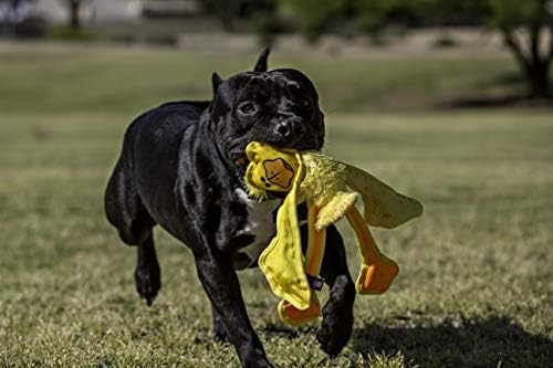 Multipet Skele Monkey Dog Rope - Nylon Tug of War - Squeaky Toy for All Dogs - Animal Dog Toy for Playing Toss & Fetch (15", Brown)