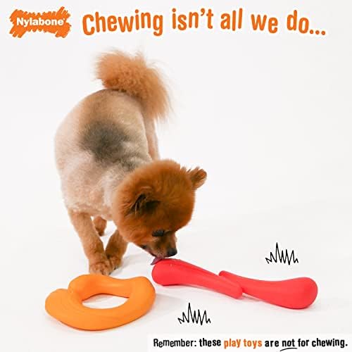 Nylabone C-Shuu and Stik-Go Interactive Dog Toys Bundle for Dogs – Lightweight Intriguing Dog Fetch Toys for Creative Play & Dog Exercise