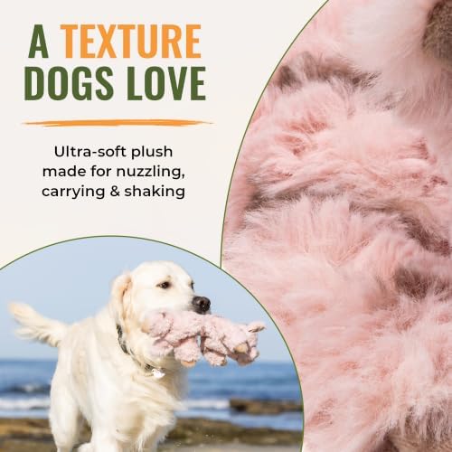 Cuddlerz Snorters the Pig Plush Dog Toy with RuffGuard® Lining