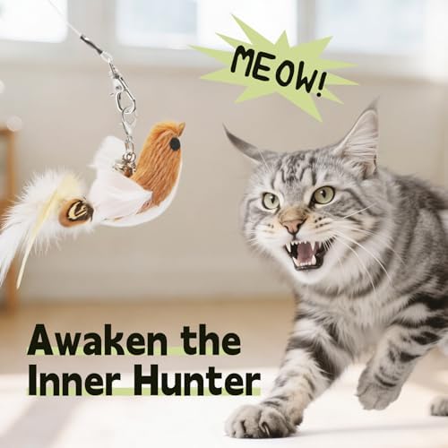 SONGWAY Interactive Cat Feather Toys - Cat Wand Toy Set with Retractable Teaser Wand and 6 PCS Natural Feather Refills, Da Bird Cat Toys for Indoor Cats Kittens