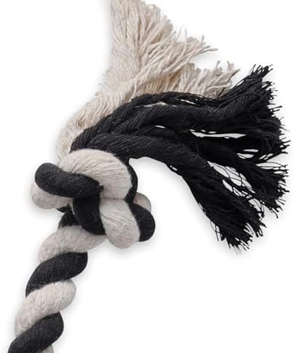 Pet Passion Natural Rubber Tire and Organic Cotton Rope Pull and Chew Dog Toy for All Pet Breeds, Black, Small