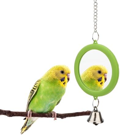 Hypeety Bird Mirror Toy with Bell Interactive Parrot Hanging Mirror, Green