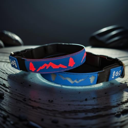 Customlized Name Flashing USB-C led Light up Dog Collar with airtag Holder, Subversive 3D Design Comfortable and Soft Material,Multicolored Lighting (Blue, S(7.87-11.8"))