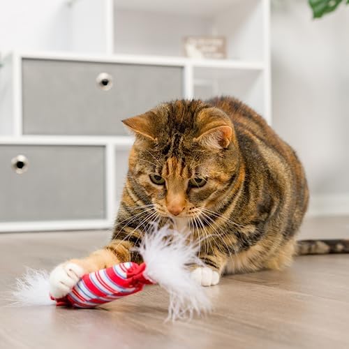 Huxley & Kent Plush Cat Toy - Holiday Interactive Catnip Toy for Cats & Kittens - Soft with Crinkle & Catnip - Fun Indoor Play - Lit Donut & Peppermint Candy 2pk
