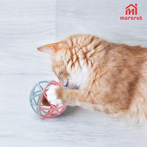 Squeaky Mouse Ball Cat Toy with Simulated Sound, Mouse Ball Cage, Squeky Balls for Cats to Play with Indoor, Plastic Squeak Interactive Funny Toys Best for Playing Chewing Training Chasing (Pink-Blue)
