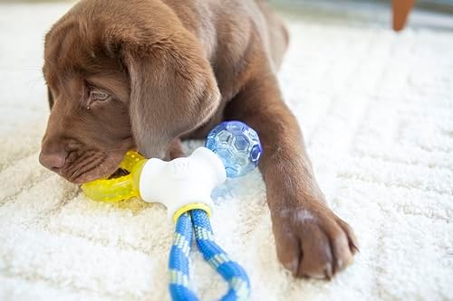 JW Puppy Connects 3-in-1 Puppy Toy