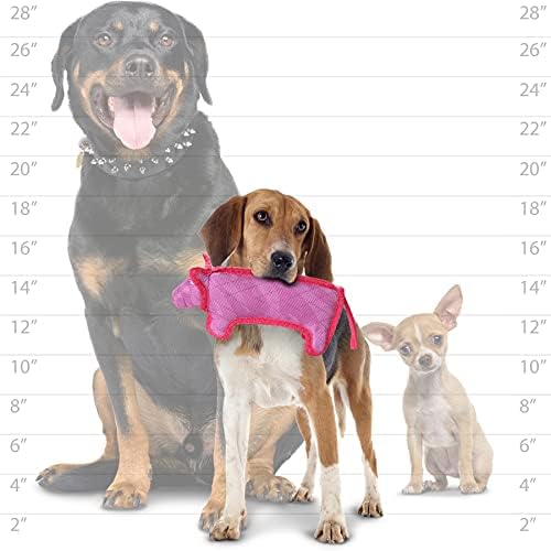 Tuffy® - DuraForce® : Pig Dog Toy: Ultra Durable Plush Toy with Multiple Layers & Reinforced Seams, Washable and Floats, DuraForce® Construction
