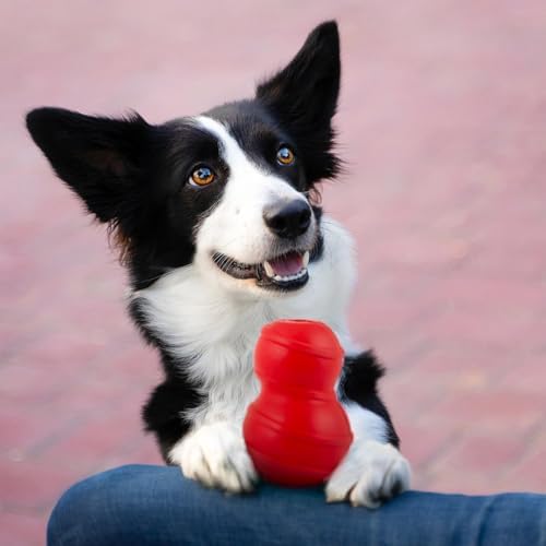 Jeffers Pet Natural Rubber Dog Chew Toy – Red Classic, Medium – Treat Dispensing, Vanilla Scent, Durable, Non-Toxic, Dishwasher Safe, Interactive Fetch & Tug Toy - Perfect for Training