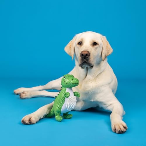 Fringe Studio Plush Dog Toy, Roar and Explore, Teeth and Gum Cleaning TPR Spiky Ball, Pet Shop Collection (314634)