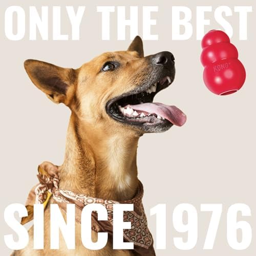 KONG Cozie Ali Alligator and SqueakAir Balls, 3 Pack, for Small Dogs