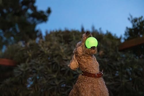 Harry Barker Glow-in-the-Dark Rubber Dog Fetch Balls, High-Bounce Interactive Toy with Safety Air Vent, 3 Inch, Launcher-Compatible