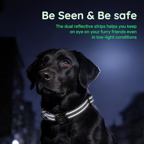 Reflective Dog Collar with Airtag Holder for Small Dogs, Purple | Waterproof Holder, Breathable Nylon Padded, Built-in QR Code Name Tag, Adjustable, Comfort for Walking, Training