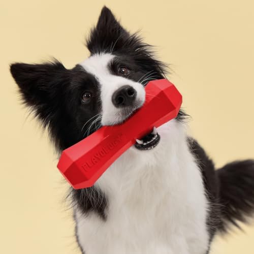 Playology Squeaky Chew Stick - Scented Dog Toy - Jumbo, Beef Scent
