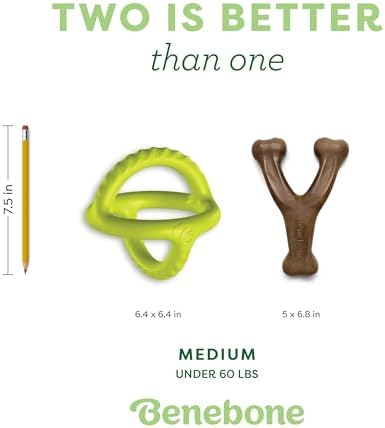 Bundle of Benebone Wishbone Durable Dog Chew Toy for Aggressive Chewers, Real Bacon, Made in USA, Medium + Benebone Natural Rubber Tug Interactive Dog Toy, Natural Rubber