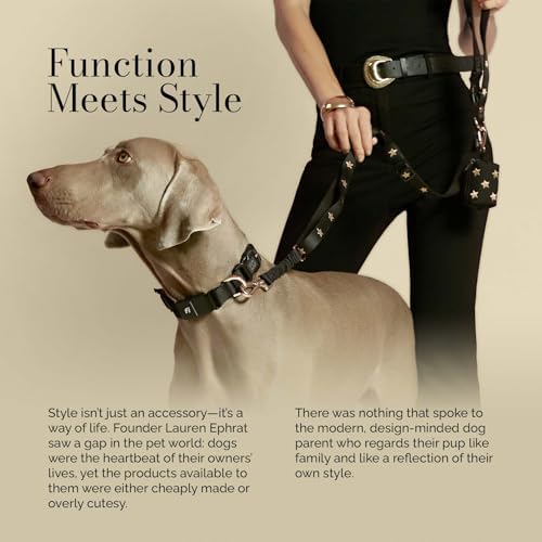 DOGISTRY - The Fi Rockstar Collar - GPS Dog Collar Band - XL