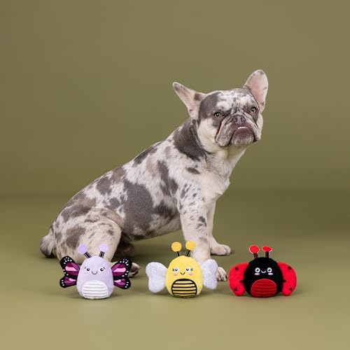 Fringe Studio Plush Dog Toy, 3 Pieces Set, WE’RE Super Fly, Pet Shop Collection (662168)