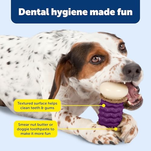 PetSafe Busy Buddy Nobbly Nubbly Treat Holding Dog Chew Toy, Small