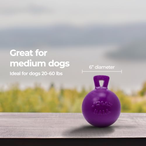 Jolly Pets Tug-n-Toss Heavy Duty Dog Toy Ball with Handle, 6 Inches/Medium, Purple