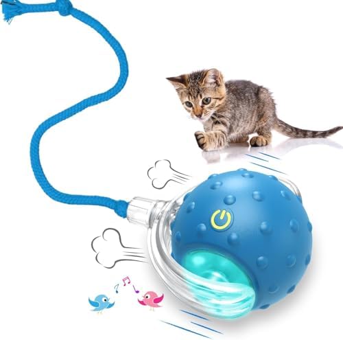 Interactive Cat Toys Ball for Indoor Cats (Blue)