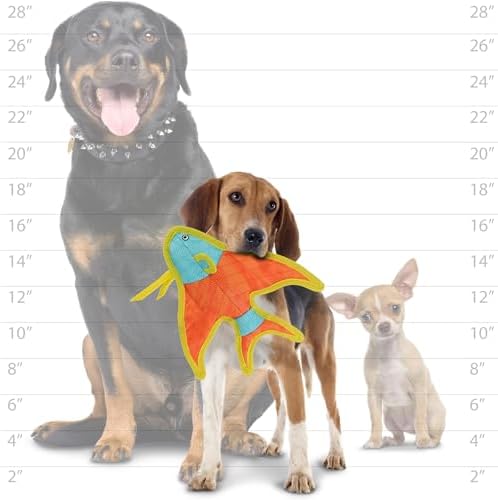 Tuffy® - DuraForce® : 2 Pack Angel Fish Dog Toy: Ultra Durable Plush Toy with Multiple Layers & Reinforced Seams, Washable and Floats, DuraForce® Construction