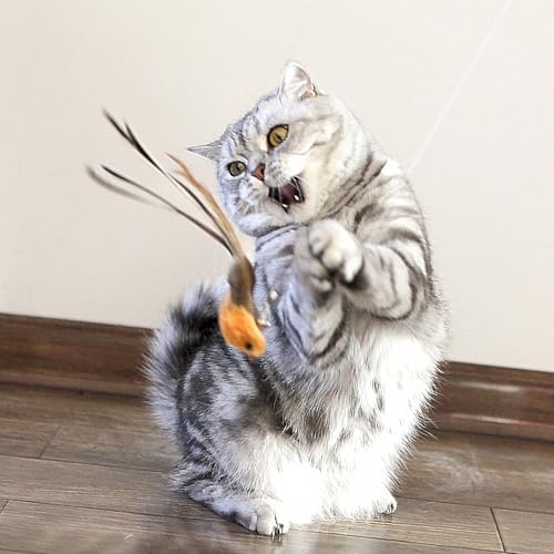 miwoowim Interactive Cat Wand Toy Set, 2 Telescopic Rods & 11 Attachments