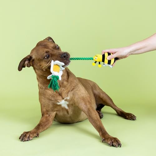 Fringe Studio I’M Pollen for You Plush Dog Toy, Pet Shop Collection (314432)
