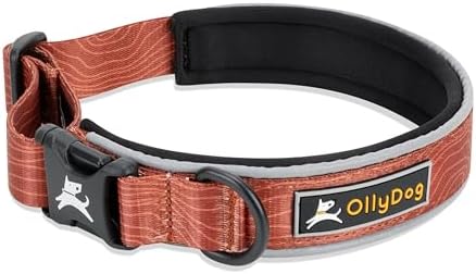 OllyDog Flagstaff Reflective Comfort Collar, Neoprene Padded Dog Collar, Reflective Trims for Night Runs, Extra Comfort for Active Dogs (Medium, Clay Woodgrain)
