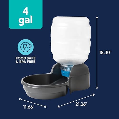 Petmate Replendish Automatic Dog Water Dispenser, 4 Gal, 2 Filters