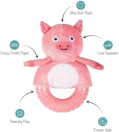 Fringe Studio Rubber Dog Toy, GET Piggy with IT, Pet Shop Collection (519056)