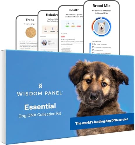 Wisdom Panel Essential Dog DNA Testing Kit - Most Accurate Test for 430+ Dog Breeds, 30 Genetic Health Conditions, 50+ Traits, Relatives, Ancestry, 1 Pack