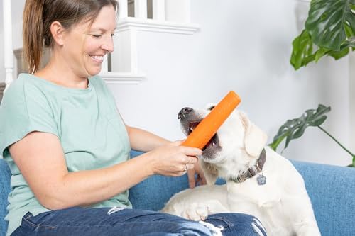 Chuckit! Super Crunch Fetch Stick Dog Toy, Durable TPR, Breeds 20-100 lbs
