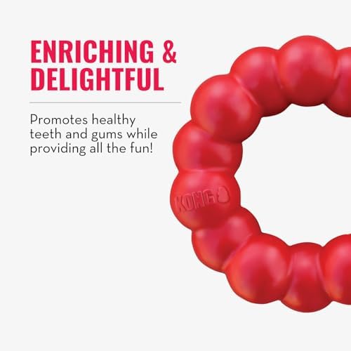 KONG Ring - Natural Rubber Ring Toy for Healthy Chewing Habits - Chew Toy Supports Dog Dental Health - Dog Toy Supports Instincts During Playtime - for Medium/Large Dogs (Pack of 4)