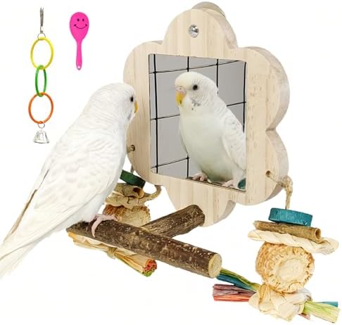Bird Mirror with Perch Stand,Parrot Swing,Birds Toys for Alleviate Boredom