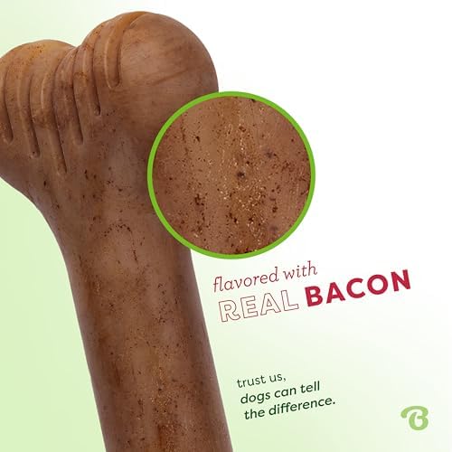 Benebone Bone Dog Chew Toy for Aggressive Chewers, Real Bacon, Medium