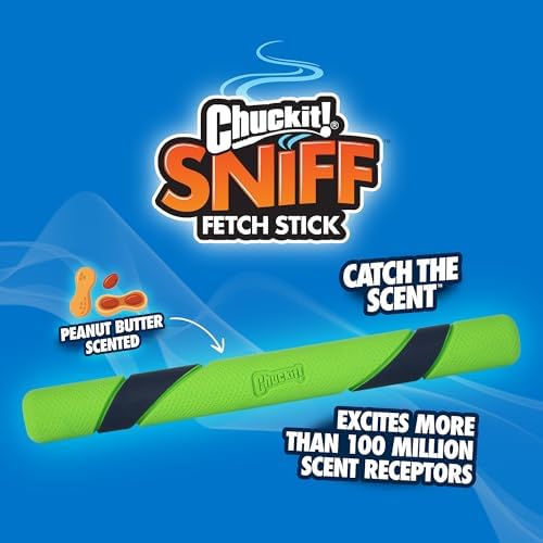 Chuckit! Peanut Butter Sniff Fetch Stick Dog Toy, 12in Length, 1 Pack