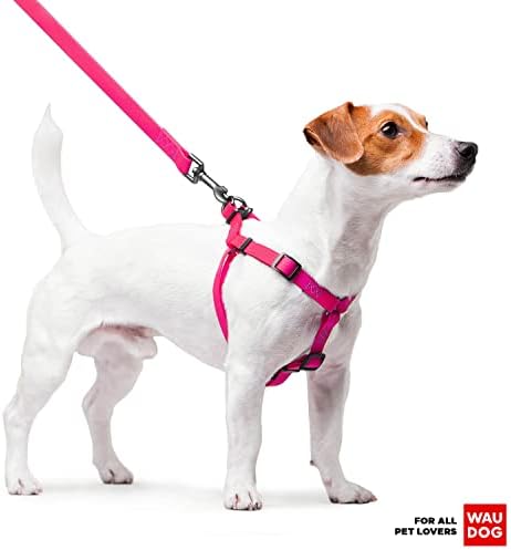 Waterproof Dog Harness 3/5 Wide Pink/Waterproof Dog Leash 6Ft Pink