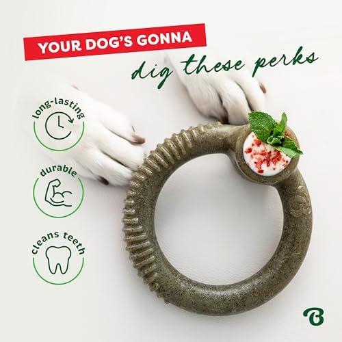 Benebone Ring Dog Chew Toy for Aggressive Chewers, Peppermint, Medium