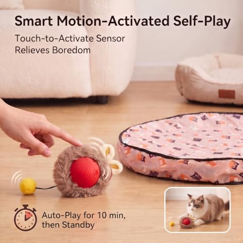 Meowball Mat, Interactive Cat Toy, Hide and Seek Cat Toy, Automatic Rolling Ball, for Indoor Cats, 1 Mat + 1 Ball，Pink