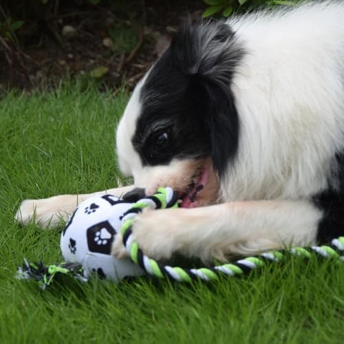 QDAN Dog Soccer Ball for Dogs, Durable Outdoor Dog Toys, Plush Dog Balls, Pet Rope Birthday Toys for Small to Large (Black)