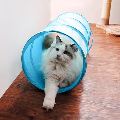 iCAGY Cat Tunnel for Indoor Small Cats Kittens Rabbits, Foldable Tube Toys