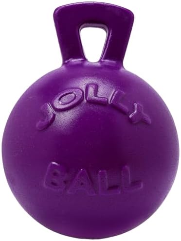 Jolly Pets Tug-n-Toss Heavy Duty Dog Toy Ball with Handle, 8 Inches/Large, Purple